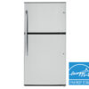 25087 - fridge - GTE21GSHSS - front