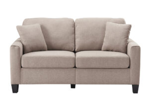 26245 - loveseat - PR-DUMONT - front