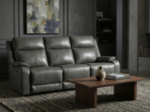26896 - sofa - PR-BRINDLE - in - room