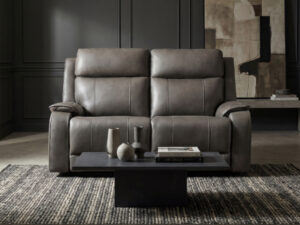 26897 - loveseat - PR-BRINDLE - in - room
