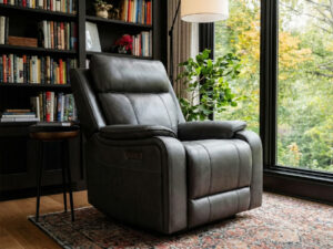 26898 - recliner - PR-BRINDLE - in - room